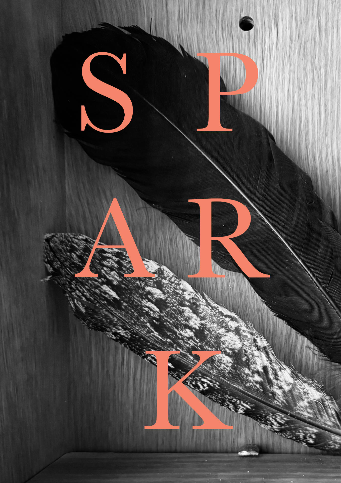 Black and white feathers on wood with coral text spelling SPARK
