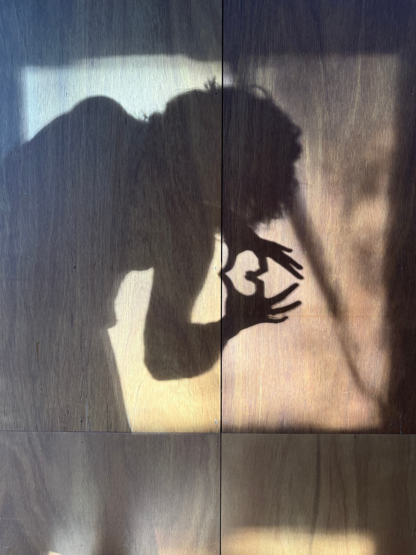 Shadow silhouette of two people embracing on a wooden wall